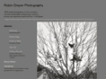 rdreyer.com