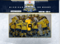 thebigchillatthebighouse.com