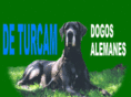 deturcam.com