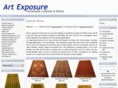 artexposurecarpets.com