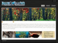 blueoceanwine.com