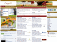 caryvip.com