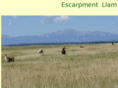 escarpmentllamas.com