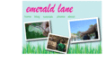 firstcoastct.com