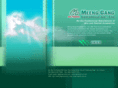 merlin.com.tw