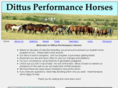 dittusperformancehorses.com