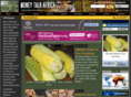 moneytalkafrica.com