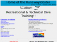 runawaylobster.com