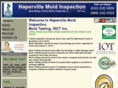 moldinspectionnaperville.com