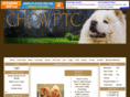 chowptc.info
