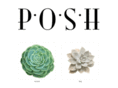 poshfloristinc.com