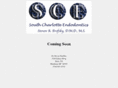 southcharlotteendo.com