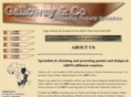 gallowayip.com