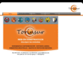 torinsur.com