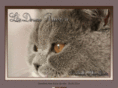 douce-passion.com