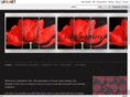 tulipinteriors.com