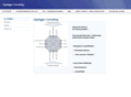 upplegger-consulting.com