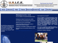 us-ice-online.com