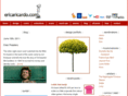 ericaricardo.com