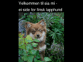 finsklapphund.com