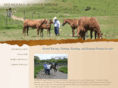 neergaardhorses.com