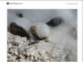photothingy.com