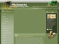 steinmetzcoins.com