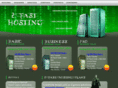 2fasthosting.com