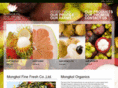 mongkolorganics.com