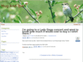 mugntee.com