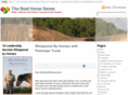 thebesthorsesense.com