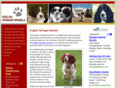 bestspringerspaniels.com