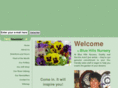 bluehills.com