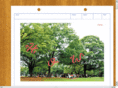 happy-outdoor-wedding.com