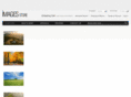 patronii.com