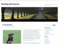 strollingwithsascha.com