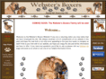 webstersboxers.com