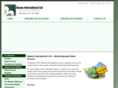 beamsint.com