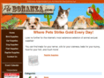 petbonanza.com
