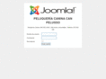 canpelusso.com
