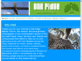 oakridge-sa.org