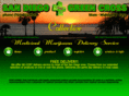 sandiegogreencross.com