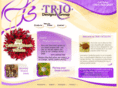 triodesignsgroup.com