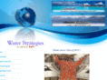 waterstrategiescruise.com
