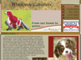 windywaycavaliers.com