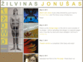 zilvinasjonusas.com