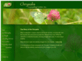 chrysaliscounseling.com