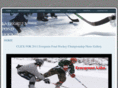 evergreenpondhockey.com