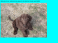 foo23.com
