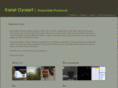 kareloyaert.com